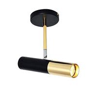 CAFIEDR Foco de Techo Giratorio, lámpara de Acento, Luces de Techo de Montaje en Superficie, Kit de iluminación de riel Fijo Moderno para galería de pasillos de Sala Ng, E14, Pared, 1 luz