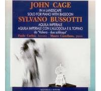 Cage - In a Landscape