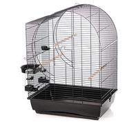 Cage Para Aves Duvo+ Elizabeth Negro 54x39x74cm Con Comedero Y Percha