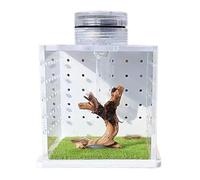 Cages Lizard, Clear Frog Tank Enclosure, 3,15 x 2,56 x 2,56 in Feeding and Breeding Box with Light Humidifier, Reptil Habitat for Small Tree-Dwelling Reptiles, anfibios, and Spiders