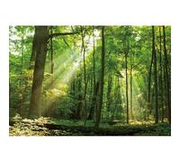Caheansi 1,5 x 1,2 m primavera bosque fondo verde selva tropical montaña árboles sol naturaleza paisaje fotografía fondo camping temática baby shower decoraciones de fiesta papel pintado estudio