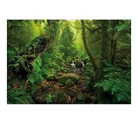 Caheansi Telón de fondo de bosque de 5 x 3 pies, verde profundo, selva tropical, selva, roca, montaña, arroyo, luz solar, paisaje, fotografía, fondo para baby shower, fiesta de cumpleaños, accesorios