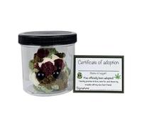 CAIONPLE Adopta un Peluche de Marihuana, Tarro Divertidos Accesorios de Escritorio de Felpa B