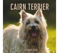 Cairn Terrier Calendar 2026: 14-Month Organizer from Nov 2025 to Dec 2026 | Perfect for Home, Office, School & Family Scheduling, For Men , Women , Girls , Boys