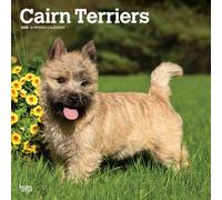 Cairn Terriers | Calendario mensual cuadrado de pared 2025 de 12 x 24 pulgadas | Sin plástico | BrownTrout | Animales razas de perros