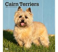Cairn Terriers | Calendario mensual cuadrado de pared 2026 de 12 x 24 pulgadas (colgado) | Sin plástico | BrownTrout | Animales razas de perros