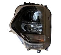 CAIZHICNC Luces Antiniebla Para Hyundai Para Santa Fe 2019 2020 Conjunto Faros Delanteros Antiniebla Halógenos Luces Giro Parachoques Delantero(Left)
