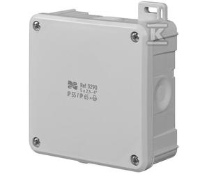 Caja 2K IP55/IP65 98x98x46, 5x2,5-4mm2, PG 13,5 Gris 0290-81
