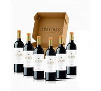 Caja 6 - Rioja Izadi Crianza Vino Tinto - Envío Gratis 24 H - Rioja Alavesa - Mejor Seleccion ENOVINOS THE WINE BRAND - Pack 6 Botellas - DO Rioja
