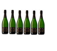 CAJA CON 6 BOTELLAS DE RECAREDO BRUT NATURE GRAN RESERVA ELS TERRERS "DEGÜELLE RECIENTE"