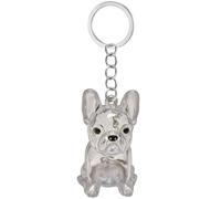 Caja conmemorativa de pelo de mascota en miniatura transparente llavero de viaje recuerdo de pieles caja coleccionista para padres de perros, cierres seguros, regalo sentimental dueño de perro
