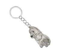 Caja conmemorativa de pelo de mascota en miniatura transparente llavero de viaje recuerdo de pieles caja coleccionista para padres de perros cierres seguros regalo perro padre sentimental accesorios