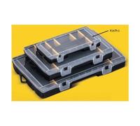 Caja De Accesorios Stanley STST816791 Negra Y Transparente