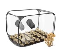 Caja de Aire para Setas, Plegable Still Air Box con 2 Puertos de Brazo Setas Cultivo Kit Caja de Cultivo de Setas, Cultivo de Setas de Cardo en Casa para Micelio de Hongos, Setas de Lluvia (Negro)