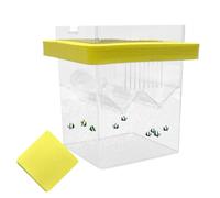 Caja de aislamiento de peces para acuario, caja flotante de aislamiento de peces pequeños con ventosas, caja de cría de peces, caja de aislamiento de peces Guppy Betta para acuario