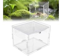 Caja de Alimentación de Insectos, Caja de Alimentación para Reptiles, Terrario Reptiles, 360° Terrario Acrílico Transparente, para Araña, Rana, Escorpión,Caracol, Lagarto (10 x8x7cm)