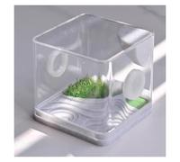 Caja De Alimentación De Insectos Reptil Anfibios Recinto For Arañas Saltadoras, Terrario Acrílico For Reptiles(5.4x5.5cm)