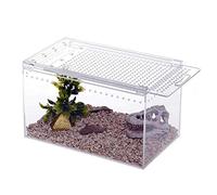 Caja de alimentación para Reptiles Caja de exhibición para Mascotas Hábitat de Anfibios Lagarto Camaleón Cuerno Rana Serpiente Escorpión Cangrejo ermitaño Caja de cría (Transparente 30 * 20 * 15 cm)