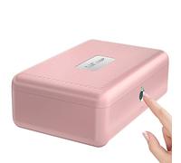 Caja de almacenamiento biométrica de huellas dactilares, Caja fuerte portátil para joyas y efectivo, caja de bloqueo recargable para coche, hogar, oficina, viaje(rosa)