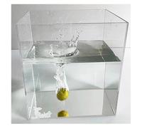 Caja de almacenamiento de acrílico transparente, bandeja flotante para fotos, bandeja de agua poco profunda, decoración, bandeja para fotos de mesa (10 x 10 x 5 cm)