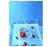 Caja de almacenamiento transparente de acrílico, fregadero poco profundo, tanque de agua irrompible for fotografía y hábitat de peces | Accesorio de fotografía de doble uso y pecera de acrílico(60x55x