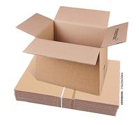 Caja de cartón doble canelure Master'in - Brune - 310 x 220 x 250 mm - Lote de 15 cajas