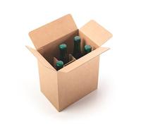 Caja de Cartón para 6 Botellas de Cerveza con Colmena Automontable | Pack 25 unidades | Separador Incorporado, 100% Reciclable, 20.2x13.7x24 cm