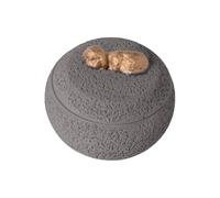 Caja de cenizas para perro, urna conmemorativa para cenizas de perro, contenedor decorativo suave, recuerdos de ataúd para recuerdo, muerte, funeral, condolencias, cachorros y gatos