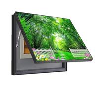 Caja de Contadores Marco Negro Cuadro for Tapar Cuadro Electrico Pintura Colgante Sala de Estar Pintura Decorativa ZFDGHF(D,45x55cm)