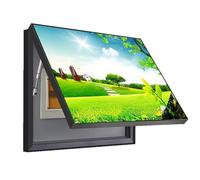 Caja de Contadores Marco Negro Cuadro for Tapar Cuadro Electrico Pintura Colgante Sala de Estar Pintura Decorativa ZFDGHF(A,45x55cm)