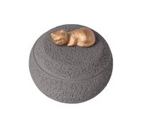 Caja de cremación para animales domésticos - Cajas para la conservación de urnas | Contenedor liso para recuerdos conmemorativos decorativos de la memoria del cachorro para el funeral de la muerte