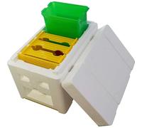 Caja de cría de abeja reina de abejas, caja de apareamiento de abeja Conjuntos de colmena de Espuma Apicultor de Abeja estuche de colmena Jardín de la apicultura de cría caja de polinizaciónDiseño