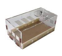 Caja De Cría De Hormigas Castillo De Hormigas De Acrílico Hábitat De Hormigas Conjunto De Aprendizaje para Divulgación Científica Granja De Hormigas Estudio del Comportamiento De Las Hormigas Nido De