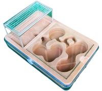 Caja De Cría De Hormigas Castillo De Hormigas De PP para Hacer Uno Mismo, Sistema De Investigación sobre El Comportamiento De Las Hormigas, Granja De Hormigas Creativa Nido De Cría De Hormigas