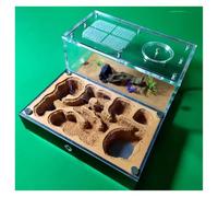 Caja De Cría De Hormigas Granja De Hormigas, Hormiguero para Granja De Hormigas, Estudio del Comportamiento De Las Hormigas, Nido De Hormigas, Terrario, Formicario Educativo Nido De Cría De Hormigas