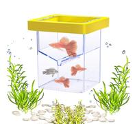 Caja de criador de peces, caja de aislamiento de peces - Divisor de aislamiento del criador | Contenedor de eclosión de taza de succión, incubadora de criadero de aclimatación del acuario para camaron