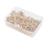 Caja de decoración natural de estrella de mar con opciones de varios tamaños para proyectos de manualidades de peceras, arte de resina, joyería, fabricación de velas y materiales de paisaje para el