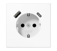 Caja De Enchufes De Pared Jung (aparamenta WCD) (Enchufe Europeo) - LS1520-15CAWW