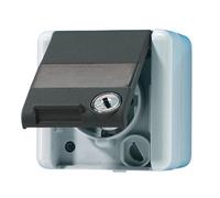 Caja De Enchufes De Pared WG800 De Jung (aparamenta WCD) (Enchufe Europeo) - 820NAWSL