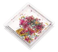 Caja de Flores Secas Decoración de Uñas DIY, para Manicura | 1 Caja, Estilo Japonés y Acabado Delicado, para Uñas y Capas de Esmalte Gel, Caja de Almacenamiento Color