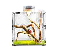 Caja De Hábitat De Reptiles - Cleario Claro, Jaula Para Pequeños Animales | Diseño Ventilado, Estructura De Ligero, Tapas De Bloqueo Seguras Con Puertas De Fácil Acceso Para Tortugas,