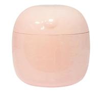 Caja de limpieza para joyas | Caja de limpieza inteligente UV Light | Portable Feeding Bottles Cleaning Tool, Lightweight Box for Pacifiers, Quick and Efficient Sanitation for Small Items