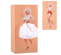 Caja de pañuelos retro para niña con falda voladora, caja de pañuelos, caja de pañuelos, caja Kleenex, soporte decorativo para pañuelos, adecuado para salón, dormitorio, oficina (beige)