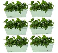 Caja de plantador, Caja de plantador 6 PPC Sembradora ventana ventilada con Plantador de rectángulo PP de drenaje con una bandeja 16.9x7.1x6.3in Sembradora de vegetales de flores para el balcón Jardí