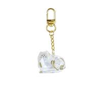 Caja de recuerdo de pelo de gato de acrílico transparente para mascotas, colección de piel de mascota, caja de exhibición conmemorativa, llavero colgante para el hogar, mochila, decoración, soporte de