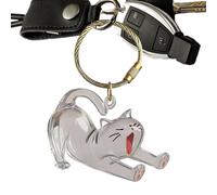 Caja de recuerdo para perro, joya linda con memoria canina | Cadena de llaves con colgante transparente de acrílico conmemorativo para colección, accesorio para bolso de mano, bolsa, d, Se référer au