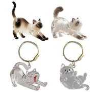 Caja de recuerdos para mascotas: llavero de recuerdo de pelo de perro y llavero colgante acrílico transparente, diseñado como un dije para bolsos, colecciones, mochilas y bolsas para hombres y mujeres