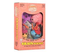 Caja de regalo con temática de ciencia cerebral de GIANTmicrobies: aprende sobre la neurociencia con este juego de 5 piezas de llaveros de felpa, regalo educativo para estudiantes, médicos,