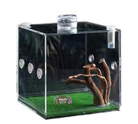 Caja de reptiles de cristal transparente, jaula de reptil transparente - Cleant Reptile Growth Terrarium - Transportador de animales pequeños transparente de 360 grados para lagartos, escarabajos,