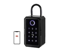 Caja de seguridad pequeña Caja fuerte impermeable al aire libre Cerradura de almacenamiento de contraseña inteligente Tuya o TTLock APP Caja de llaves Caja antirrobo (TUYA)